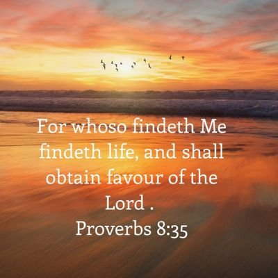 amerika_holland's profile picture. ... and I will dwell in the house of the Lord for ever.

en ik zal in het huis des HEEREN blijven in lengte van dagen.