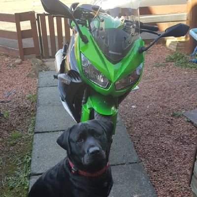 geordiegixxer Profile Picture