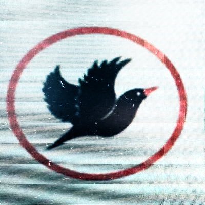 DurstonDHPA's profile picture. Durston House Parents Association