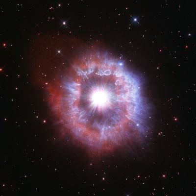 stasan1's profile picture. 