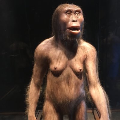 sattreiowa's profile picture. 