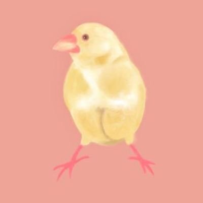 空乃木屋文鳥左衛門/弥富文鳥補完計画さんのプロフィール画像