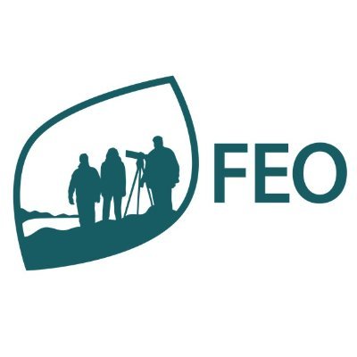 FEO_fi Profile Picture