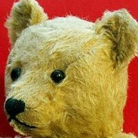 Sweary the Bear(@sweary_bear) 's Twitter Profile Photo