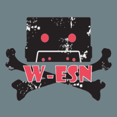 W-ESN : Epic Strategies Network