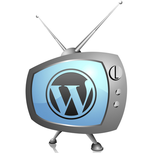 Our comprehensive series of video tutorials will take you from total novice to supreme Wordpress master FAST.