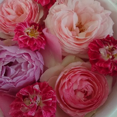 Kyon20170808's profile picture. 