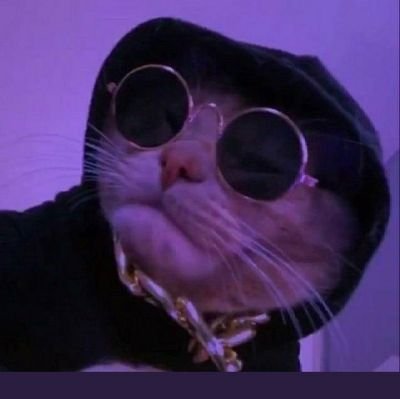 I speak C as a second language..👨🏿💻🌐
Remember the Cat..🐱