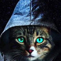 AbdoAgaa (@abdo_agaa) 's Twitter Profile
