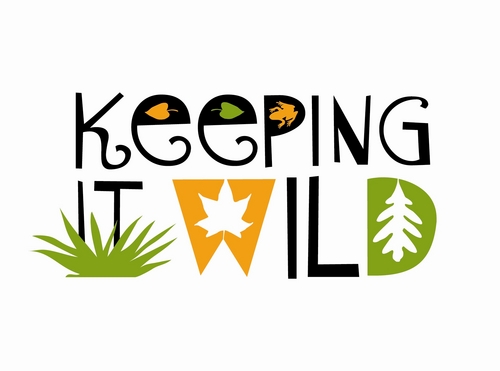 Promoting the enjoyment of the outdoors by overcoming barriers and providing opportunities for people from diverse backgrounds.