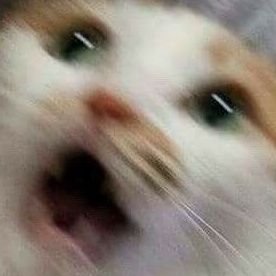 Bobama09988123's profile picture. Obabama