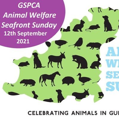 Find out and get involved with the @GSPCA Animal Welfare @Seafront_Sunday 12th September and help us celebrate animals in Guernsey