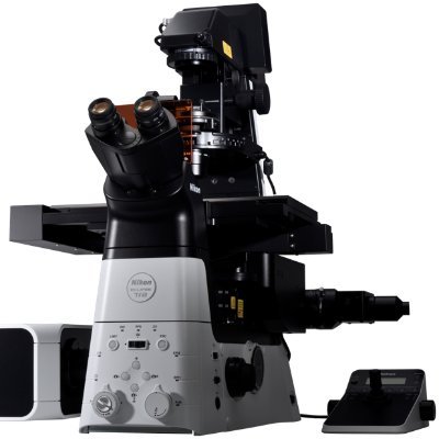 nikon_houston's profile picture. 