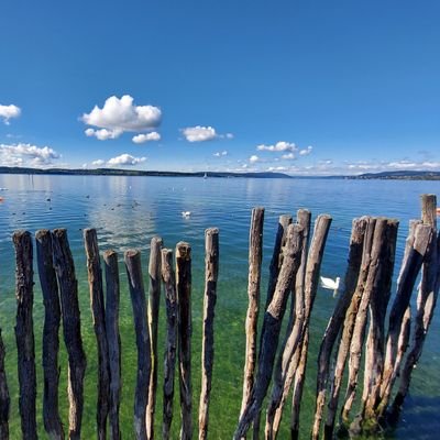 Steamx12's profile picture. Business consultant for CRM and a passion for new ways of thinking and making. ;)