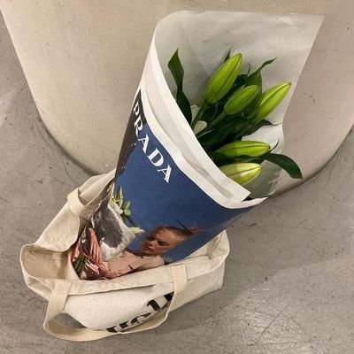 diboncengin's profile picture. 