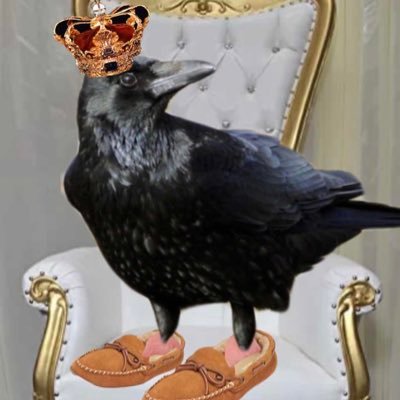 HeyHeyCorvidae Profile Picture