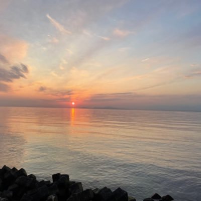 rui_syukatu's profile picture. 23卒(予定)/就活垢/関西/国立文系