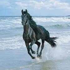 JoseLui08193232's profile picture. 