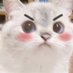 madcat (@angerycat69) Twitter profile photo madcat (@angerycat69) Twitter profile photo