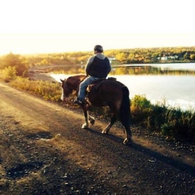 GregGreening's profile picture. Proud father, Principal and #LifeLongLearner supporting #innovation in #education. (he/him/his)