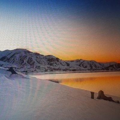 reza52525717's profile picture. god is love