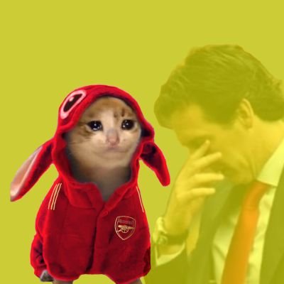 goodebenin's profile picture. Free Palestine 🇵🇸