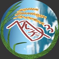 ν-belungen ニューベルンゲン (@vbelungen) Twitter profile photo