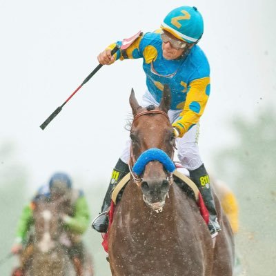 Información, Análisis, Discusiones, Debates, Encuestas, Historias, Fotos, Videos y más del maravilloso mundo del Hipismo mundial!!🐴🐴
