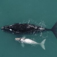 De Hoop Collection (@dehoopreserve) 's Twitter Profile