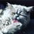 JeffyTheCat's profile image