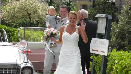 TMproject1's profile picture. 