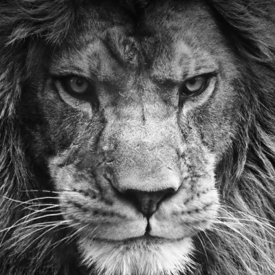 CamiloL36194120's profile picture. un mordisco a la vez.