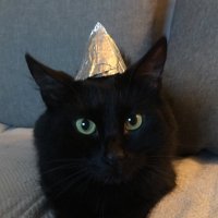 François / Le cabinet noir 🤩 (@djmisterno) 's Twitter Profile Photo