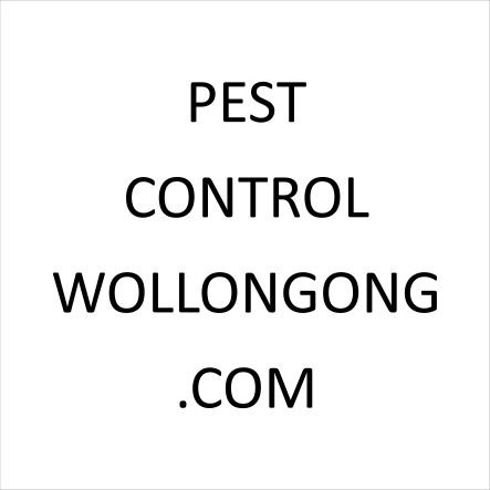 pest_wollongong's profile picture. Pest Control Service Wollongong.