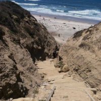 San Diego Gays (@sandiegohorny) 's Twitter Profile