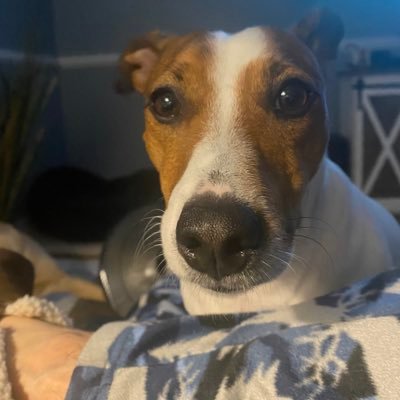 ZacharyDexter4's profile picture. 