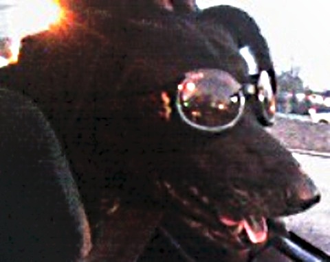 KatHatesAllst8's profile picture. 