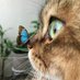 Zeyneb (@zeyneb47265576) Twitter profile photo Zeyneb (@zeyneb47265576) Twitter profile photo