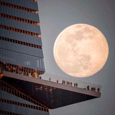 qq_ee2's profile picture. ليس كل اسلوب جميل يعني الغزل او الاعجاب ، فبعض الناس فطرتهم (طيب الكلام) و (جمال الروح) .