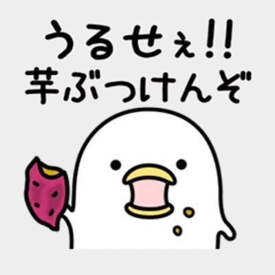 トリパッチョさんのプロフィール画像