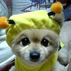 muhotaso's profile picture. PUBG初心者🐼PUBGやってる人と繋がりたい🐼
まがれつしか勝たん🐼