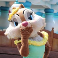 🌼ぼんぬ🌼 (@chiffon_clarice) 's Twitter Profile