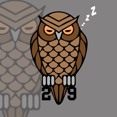 SleepyOwl29さんのプロフィール画像