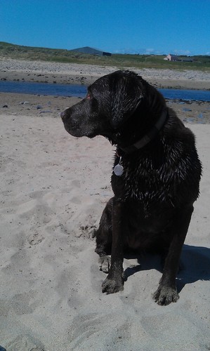 rokeano's profile picture. All views are my own.