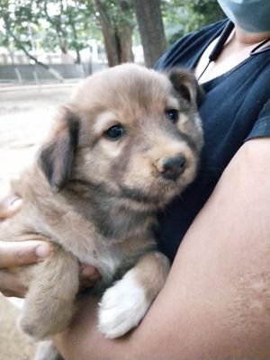 t_bhattacharyya's profile picture. forever a student, epistemophilic, logophile, bibliophile, chocaholic, half-canine, full human ... 
the list can go on...Never mind