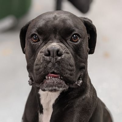 NoTechHere1's profile picture. 