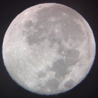 MT Thoughts (@mymtthoughts) 's Twitter Profile
