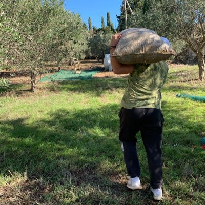 Jvitale13's profile picture. 