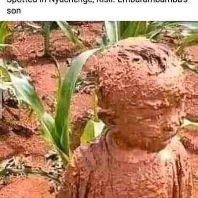 _kamweru_'s profile picture. political enthusiast