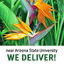 Campus Flowers (@campusflowers) Twitter profile photo Campus Flowers (@campusflowers) Twitter profile photo